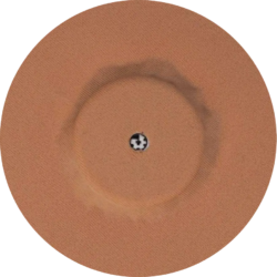 CGM Protective Patches – Beige (4 pcs)